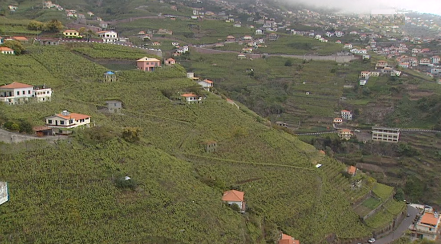CDU Madeira visita Garachico