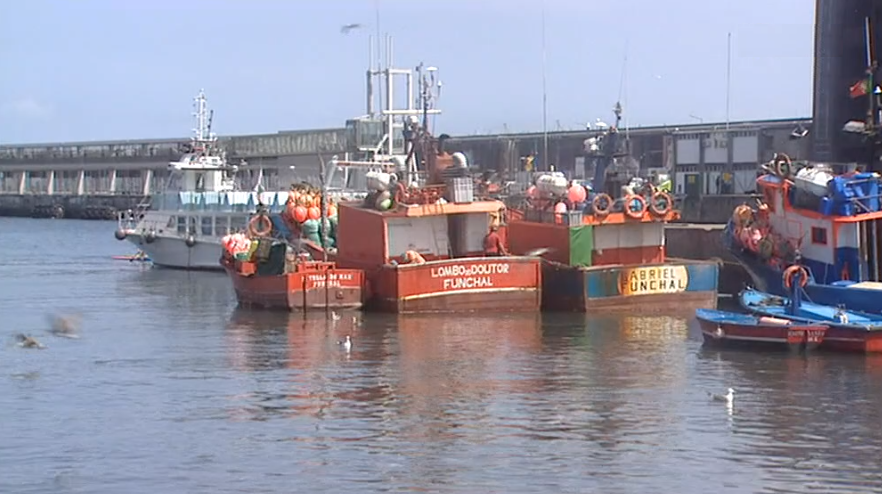 Pesca de atum na Madeira
