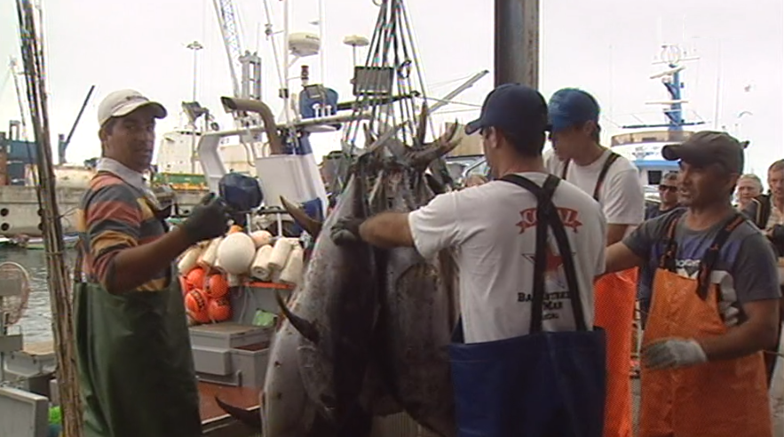 Protesto de armadores na lota do Caniçal