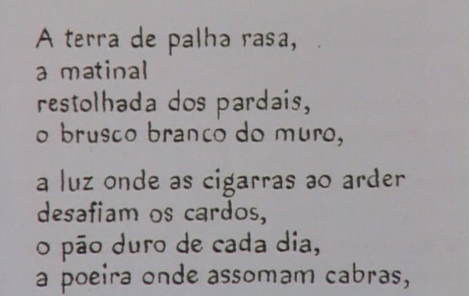 Uma Questão de Palavras