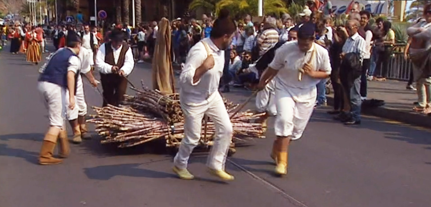 “Rota do Açúcar” na Calheta