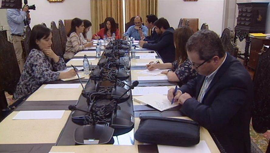 Ordem dos Médicos na Comissão Parlamentar de Saúde