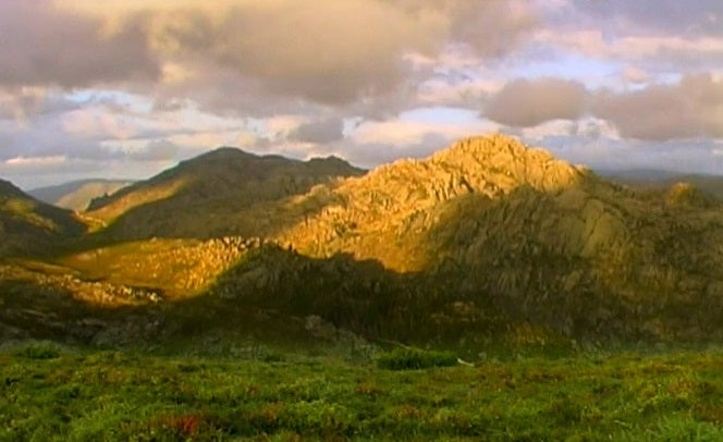 A Vida Secreta dos Lobos