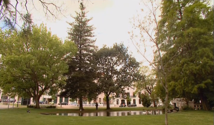 Biodiversidade Urbana