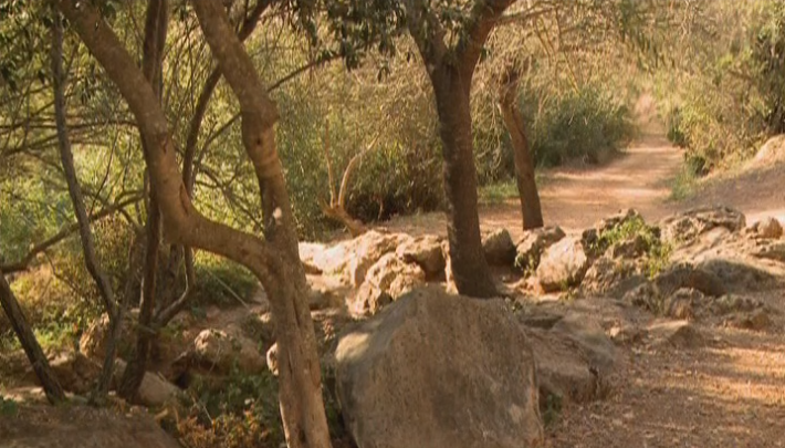 Empreendedores Rurais