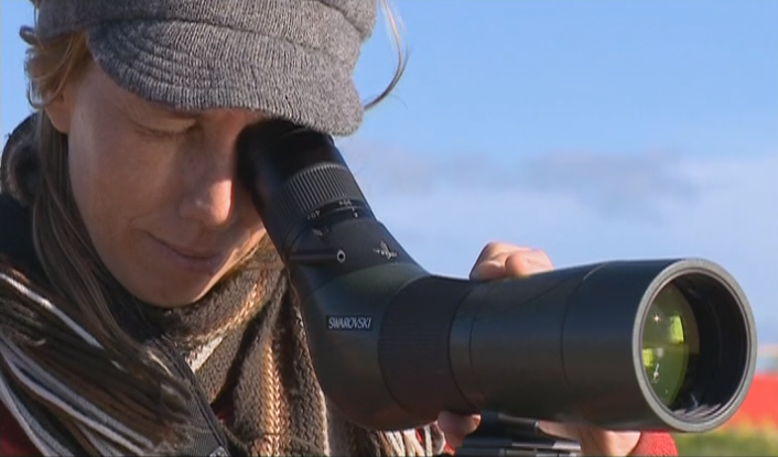 Monitorização Ambiental