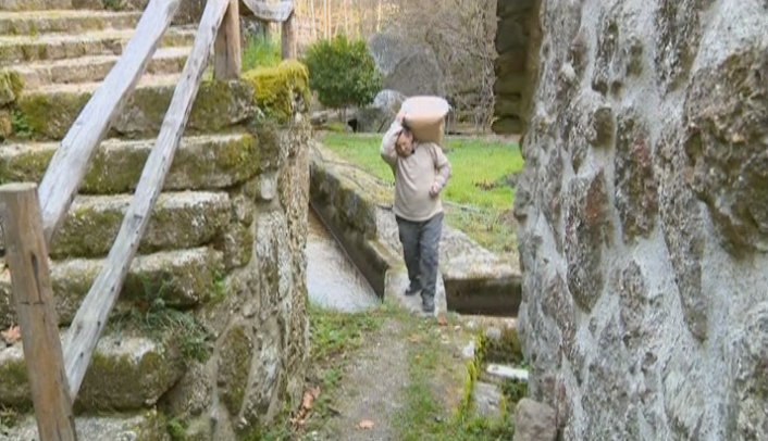 Descarbonização em Seia