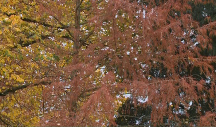 Os Desafios do Pós-Quioto