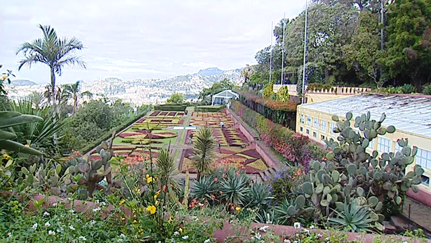 Aniversário do Jardim Botânico do Funchal