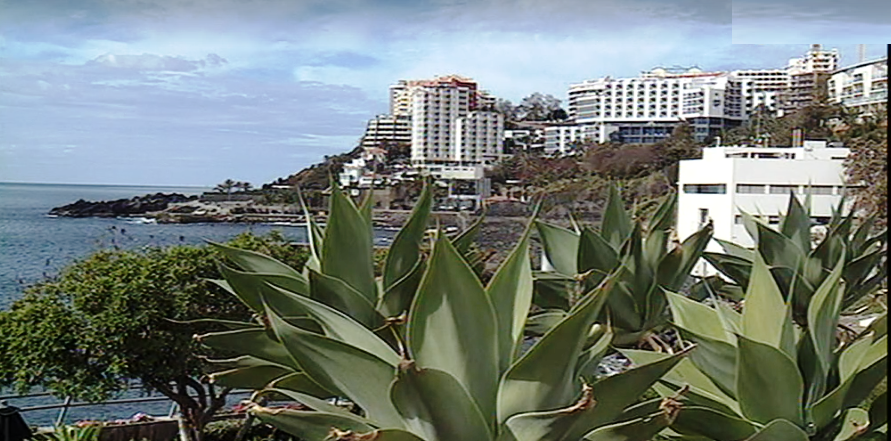 Ocupação hoteleira na Madeira