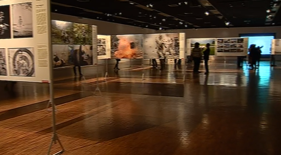 World Press Photo 2017