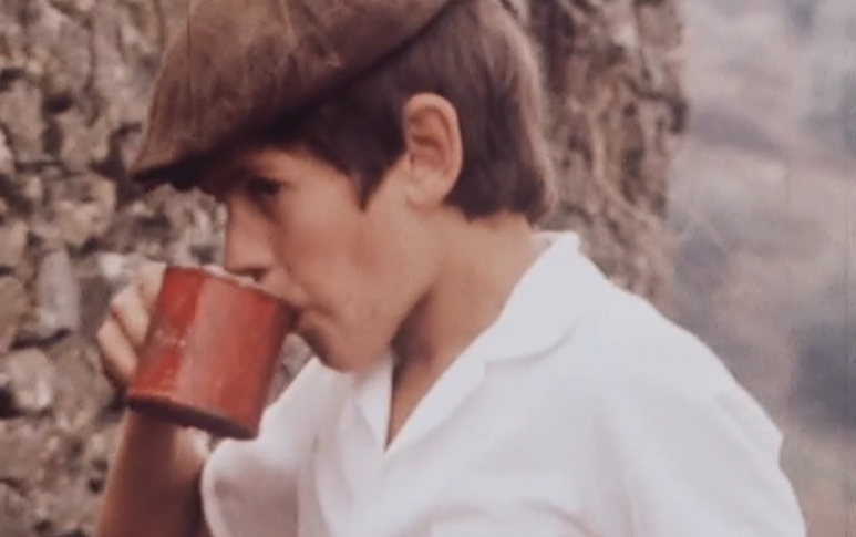 Consumo de álcool e alcoolismo em Portugal