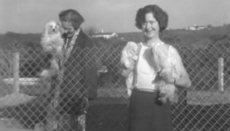 Imigrante inglesa vive com cães e gatos no Carvoeiro