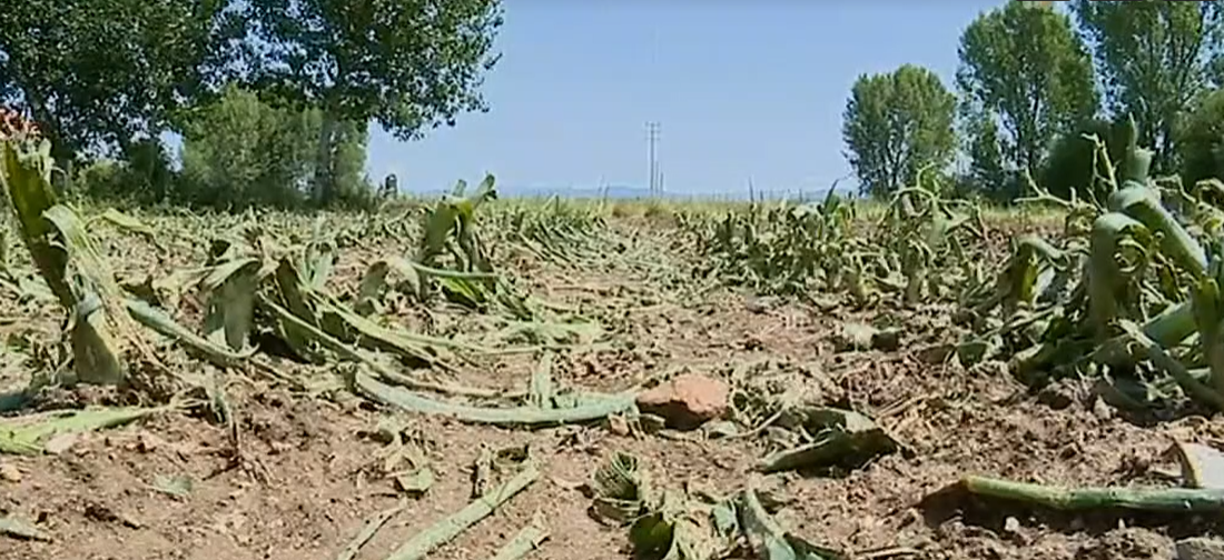 Mau Tempo a Norte de Portugal