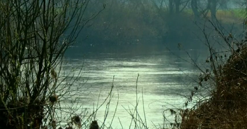 O Biosfera Viaja até Bruxelas