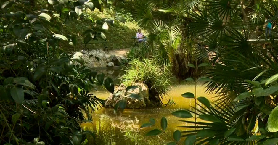 O Jardim Botânico da Universidade de Lisboa