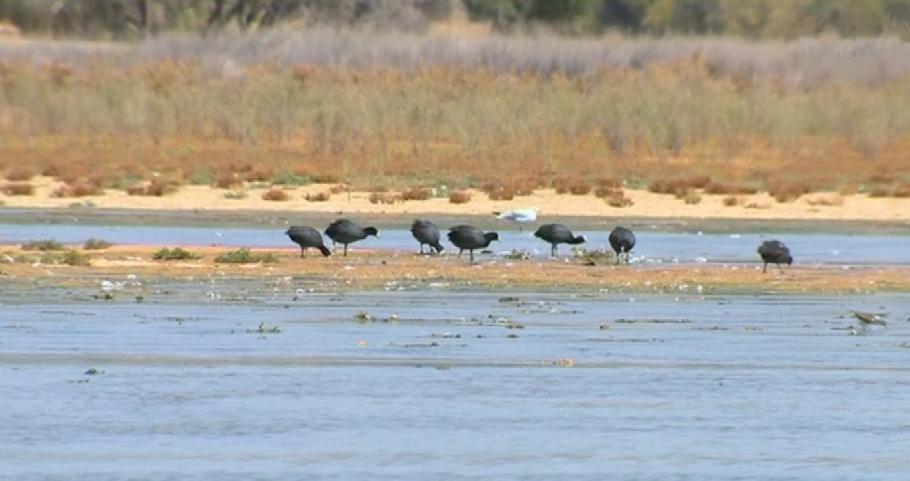 Algarve, Alvaiázere e Vila Franca de Xira
