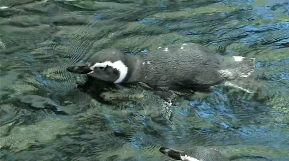 Agenda Ambiental de 2012