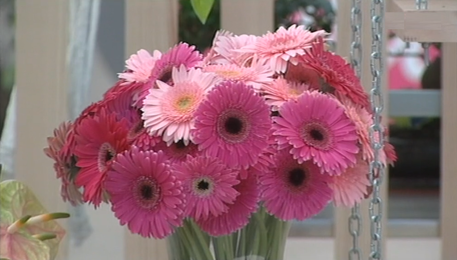 Festa da Flor na Madeira