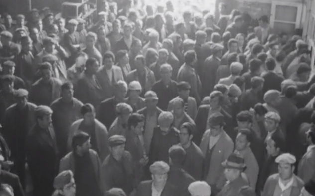 Greve de estivadores no Porto de Lisboa