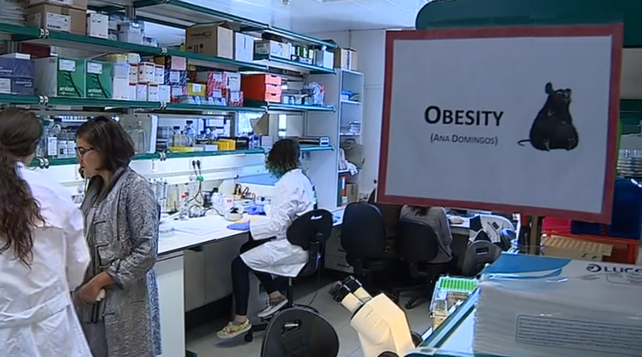 Investigação biomédica premiada