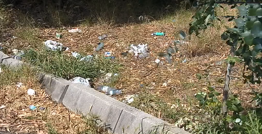 Movimento “Não Lixes”