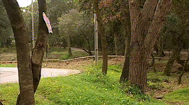 Campo de tiro em Monsanto gera polémica