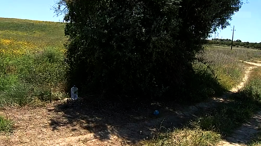 Caminhantes morrem a caminho de Fátima