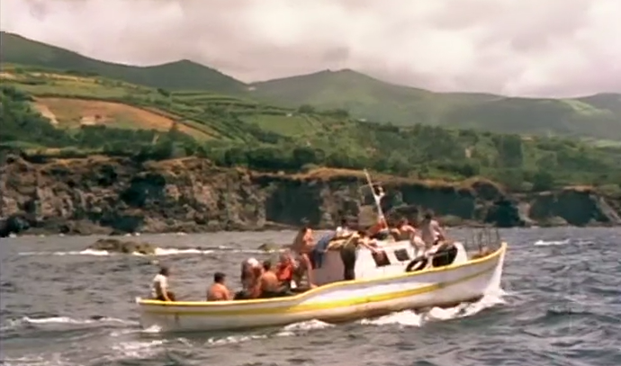 Quantos peixes há no mar