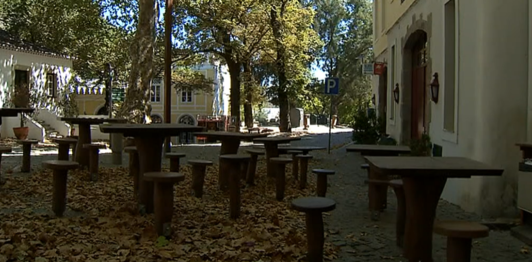 Impacto do incêndio florestal nas Caldas de Monchique