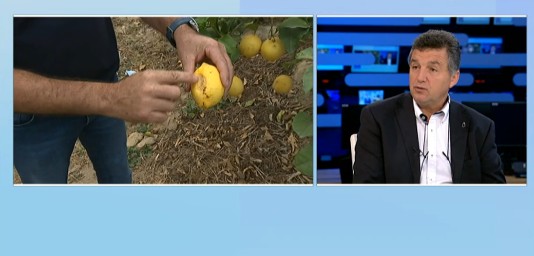 Entrevista a Domingos Santos da CAP