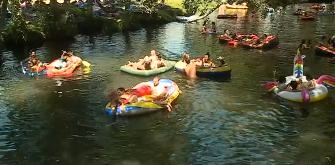 Festival de Paredes de Coura