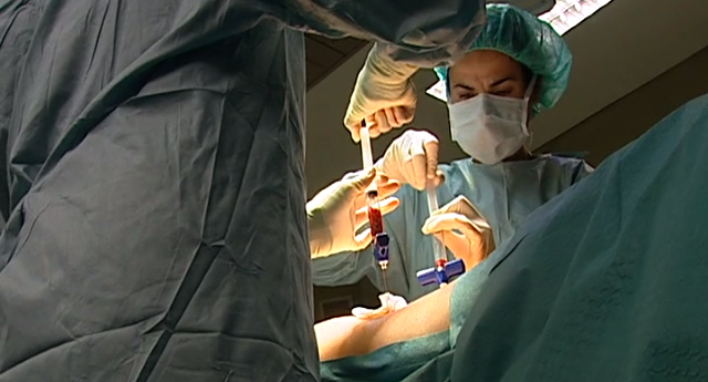 Transplantes de Medula Óssea