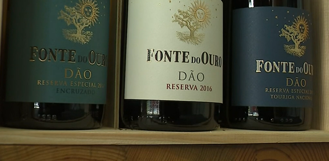 Feira do Vinho em Nelas