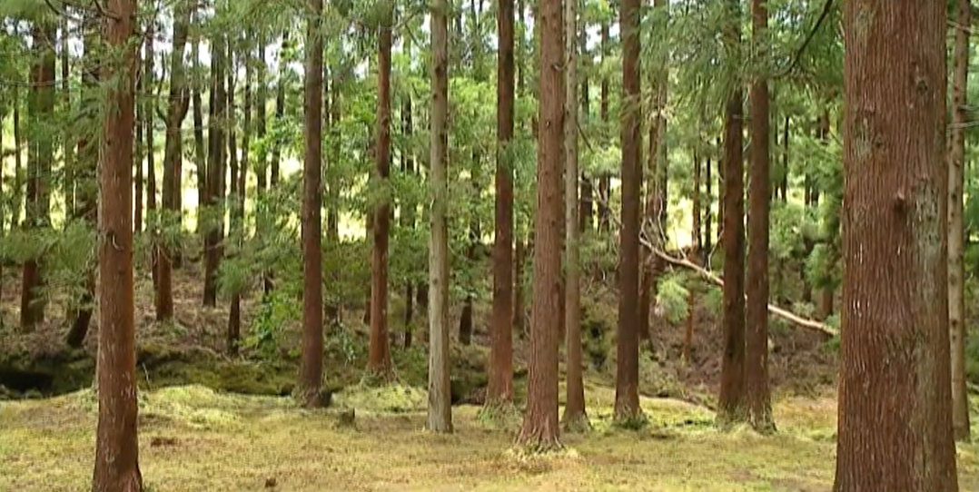 Aquíferos nos Açores