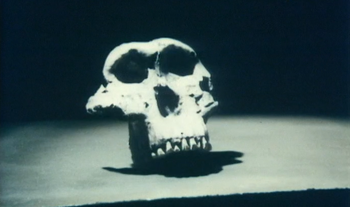 Forum Musical – Parte II