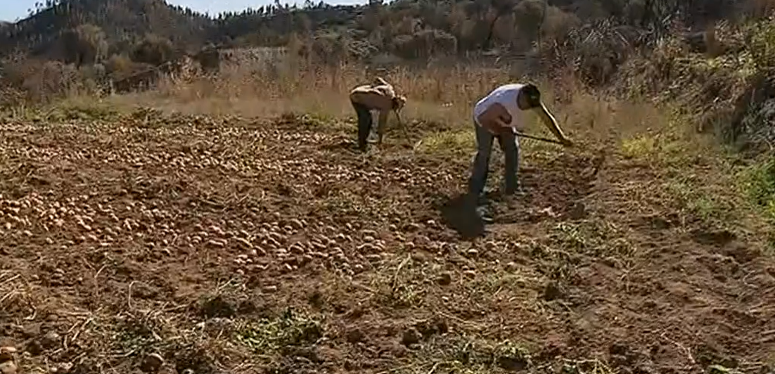 Prejuízos causados pelo incêndio em Monchique