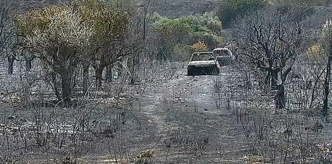 Área ardida em Portugal