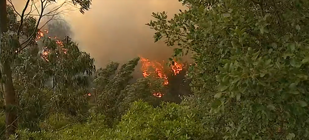 Prejuízos em Monchique