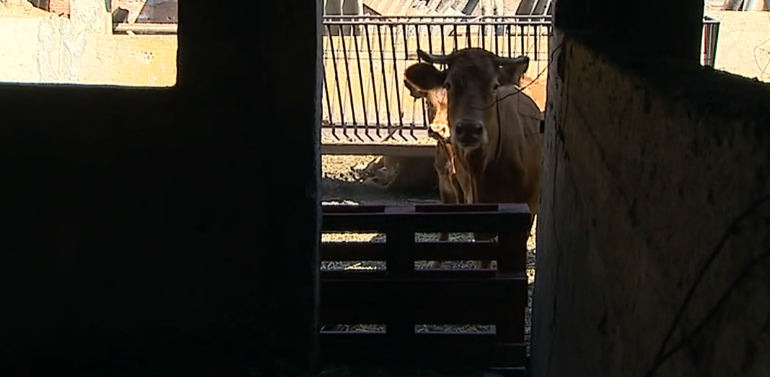 Capoulas Santos visita Monchique