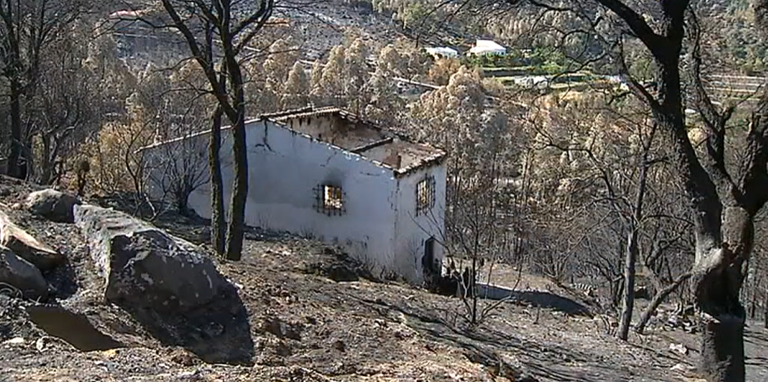 Programa de investimento “Porta de Entrada”