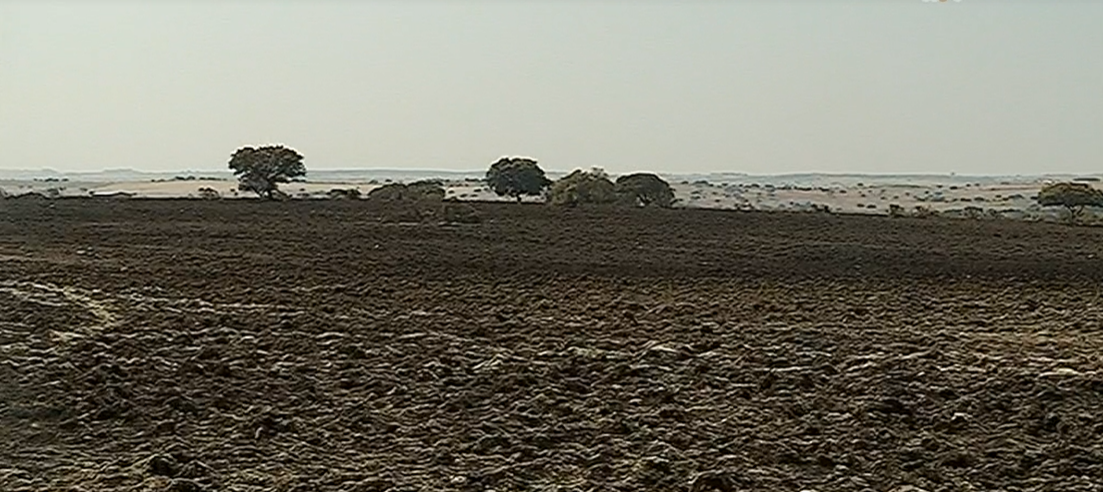 Militares da GNR feridos num incêndio