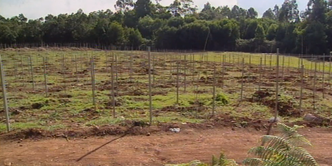 Empresários russos investem em Santana