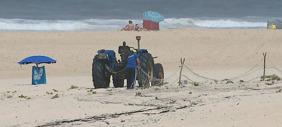 Festival da Sardinha