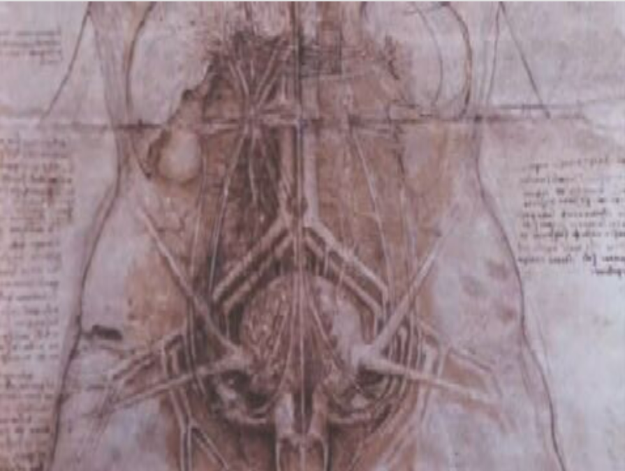 Evolução da Medicina e da Saúde desde os tempos primitivos