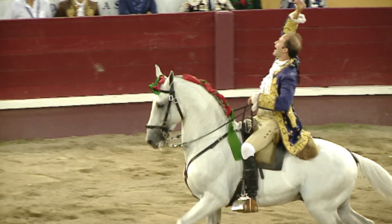 Tourada Festas da Praia da Vitória