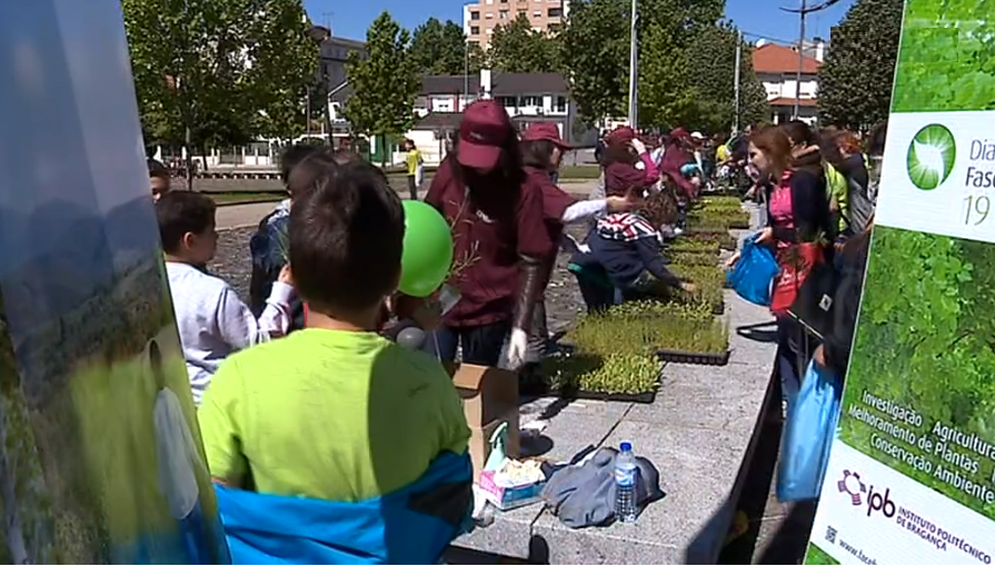 Agricultura nas escolas de Bragança