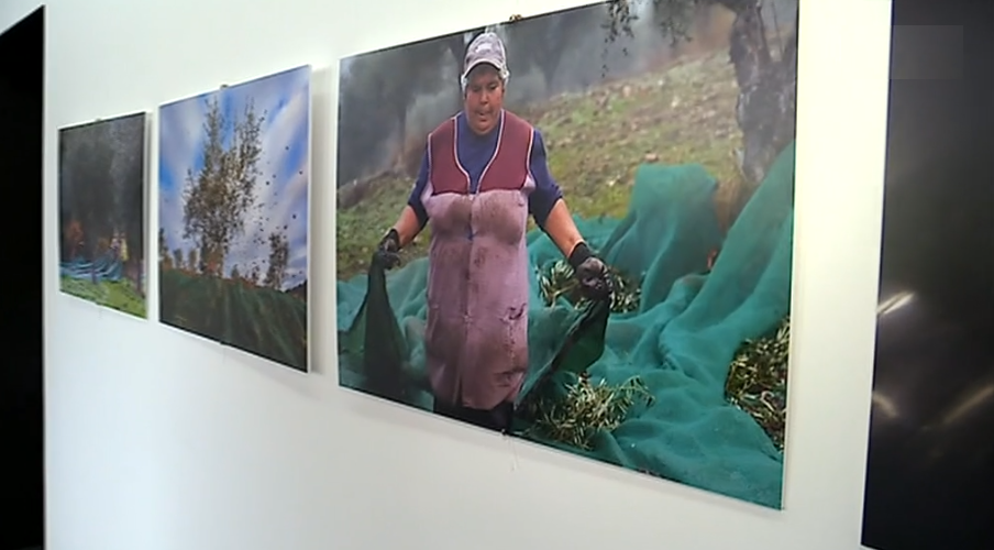 Projeto “Os Lugares de Azeite Transmontano” I