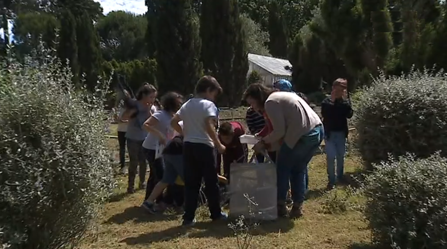 “Bioblitz Serralves” no Porto I