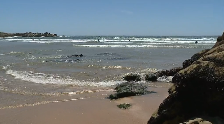 Desporto escolar “Waves Series” I